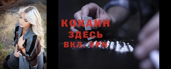 сатива Заволжье