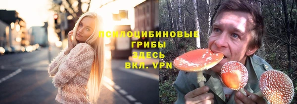 сатива Заволжье